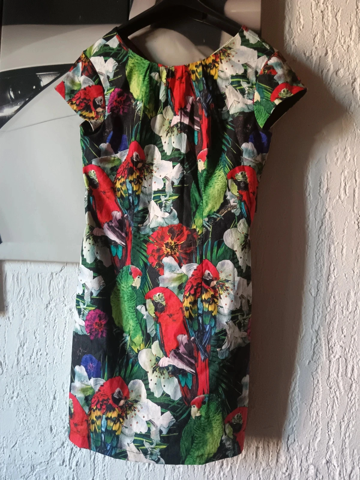 Robe perroquet